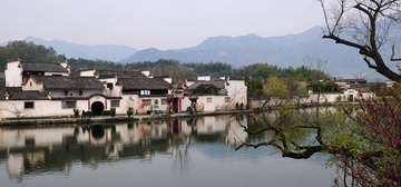 DSC_7416_缩小大小