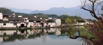 DSC_7417_缩小大小