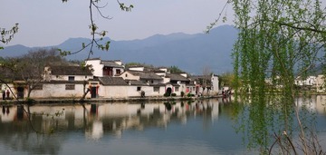 DSC_7423_缩小大小
