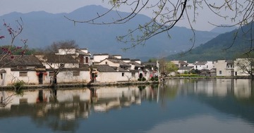 DSC_7427_缩小大小