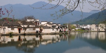 DSC_7428_缩小大小