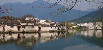 DSC_7430_缩小大小