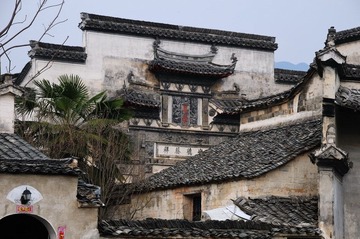 DSC_7478_缩小大小