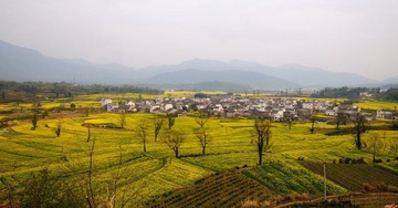 DSC_7532_缩小大小