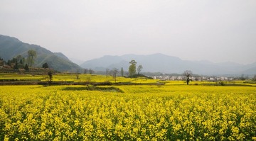 DSC_7550_缩小大小