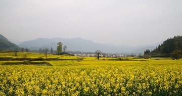 DSC_7551_缩小大小