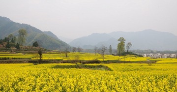 DSC_7553_缩小大小