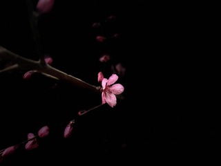 1A4CBABC-F4E0-44E6-9806-AA7DF846DD48/L0/001