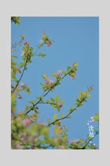 707671CC-1CB1-400D-90B5-A2F626A2F7F9/L0/001