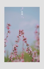 0E7F0E86-60C7-4F30-9AE2-5DFD82C2BF18/L0/001