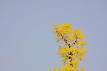 E0AAB953-0A53-4353-B829-269207FD165E/L0/001