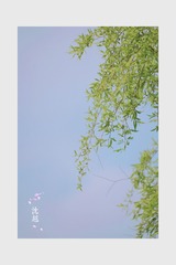3C7FC26D-9161-42BD-AE80-1685FFE81686/L0/001