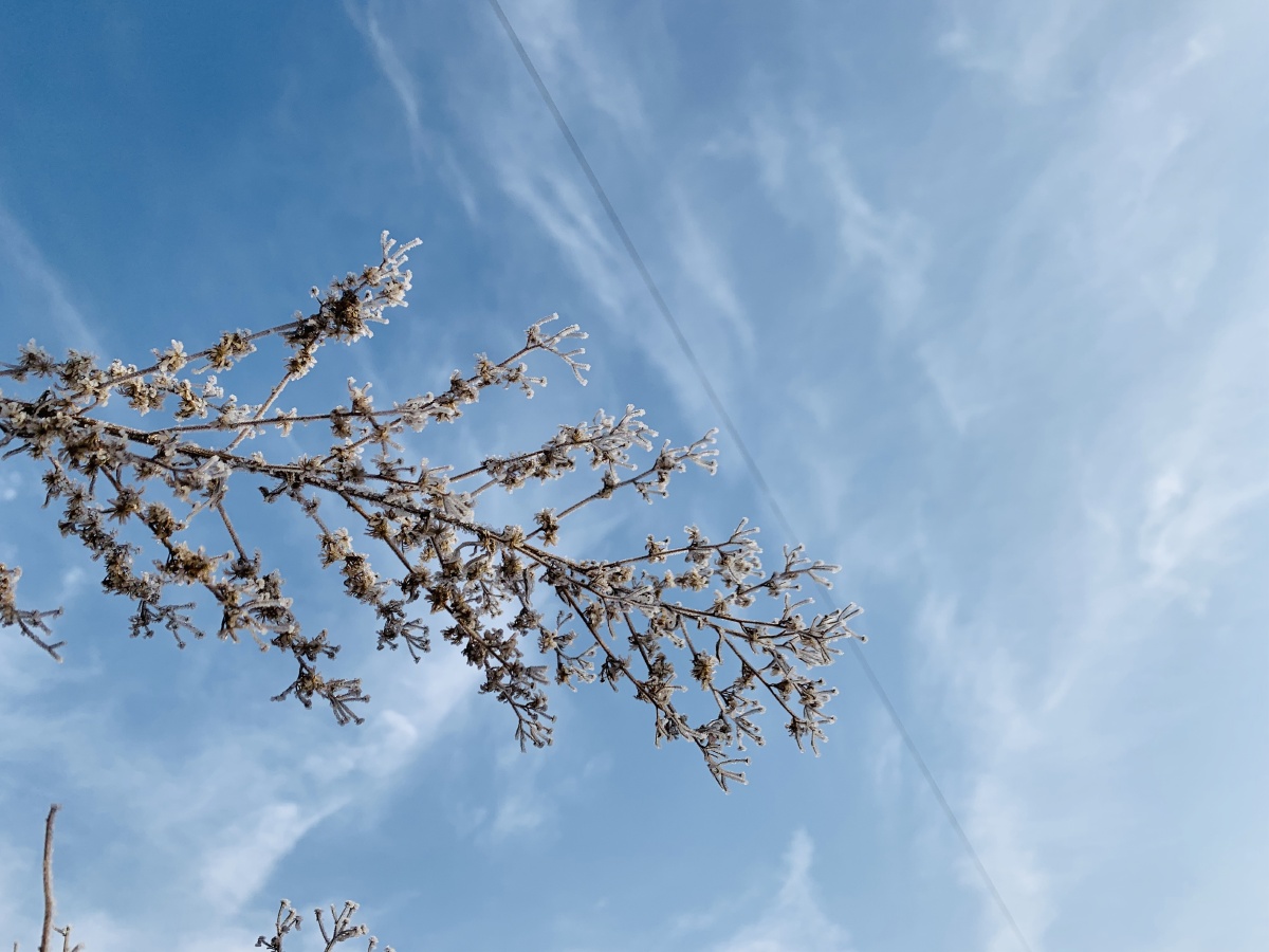 照片全部出自疫情期间在河南商丘某个小乡村拍的土生土长的河南丫头