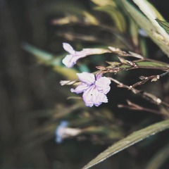 54F0D69D-375C-4FED-B07F-9B2627FB1E9C/L0/001