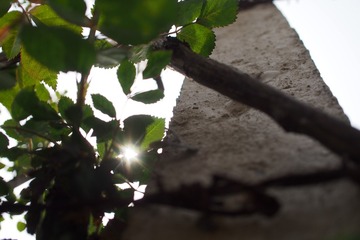 1408471