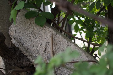 1408459