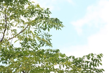 FBEDABC2-EE7E-41C0-A200-B89E92E2B945/L0/001