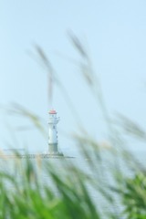 6E82E877-BFDD-466B-A11C-F5256EA3679C/L0/001