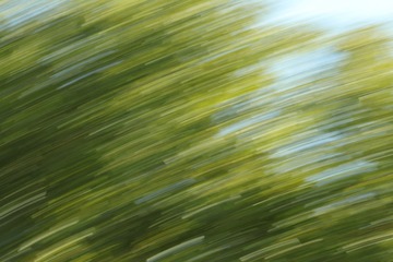 F16F78BC-81E7-479F-B3FC-070343206540/L0/001