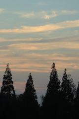 3634CD78-548E-43FB-89C9-03EC715425D4/L0/001