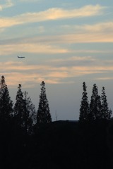 28874ABD-8292-4DA1-84F3-B024A52935D2/L0/001