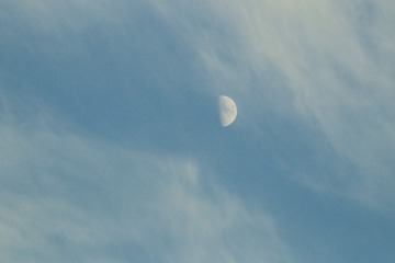 50255709-867C-43AD-A9BC-95A33CF8F067/L0/001