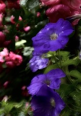 3A8E2C18-3D7D-4A57-B655-8DF800D01BD3/L0/001