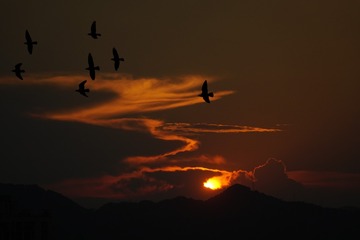 B639466E-5839-42BF-A333-9D96D1375180/L0/001