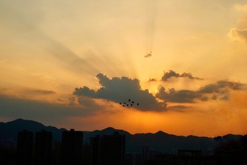 D1B5DF77-14E6-4878-A2F9-CEA614271BF8/L0/001