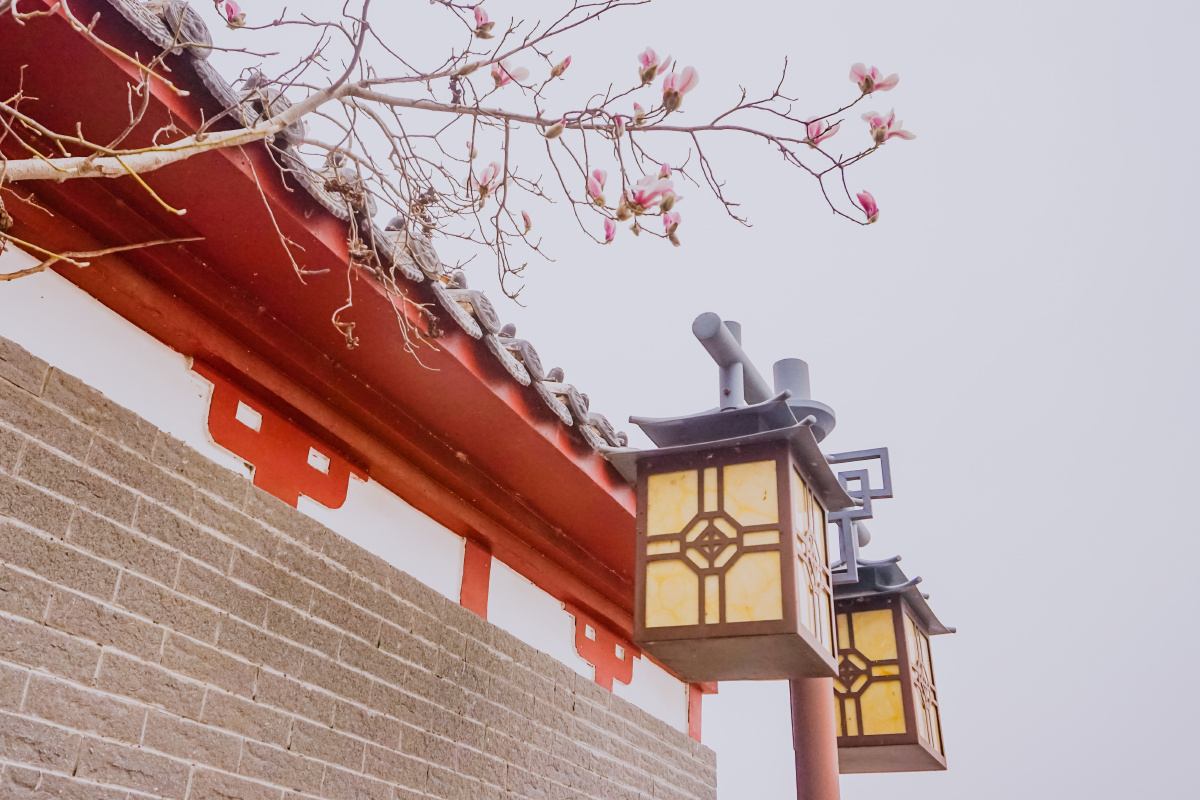 开封西湖古建筑玉兰花灯