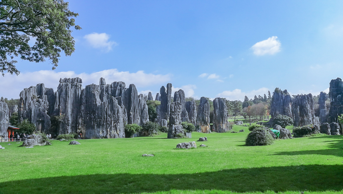 拍摄于云南昆明石林,石头,树木,草地,侏罗纪公园