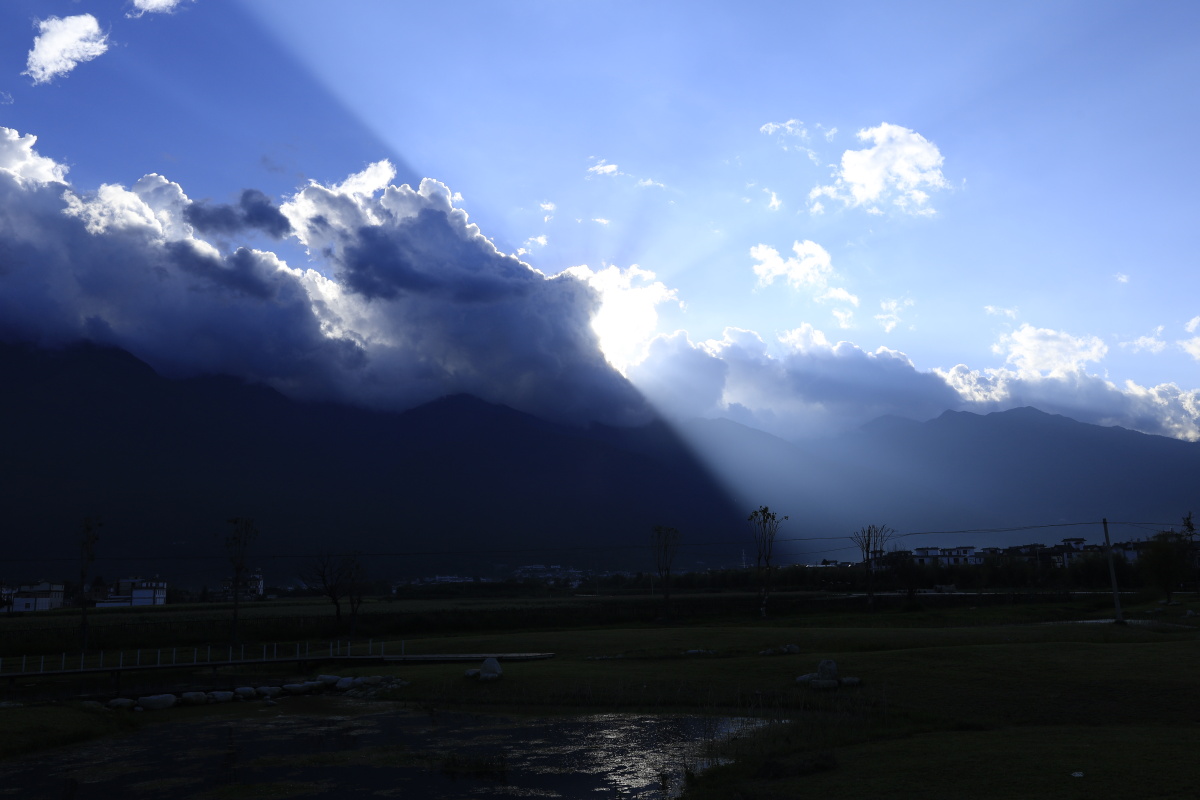 当阳光洒满大地