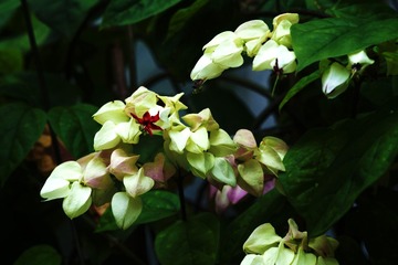 5FB48563-EB52-4C44-94C9-E1DEA81EDB39/L0/001
