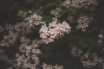 BCB9D119-6F5D-4100-BA61-C510C96F8E86/L0/001
