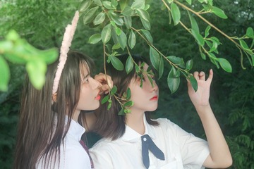 1406331