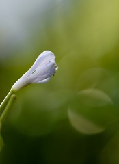85FBBCFD-A72D-4601-9B7D-FAE96742B437/L0/001