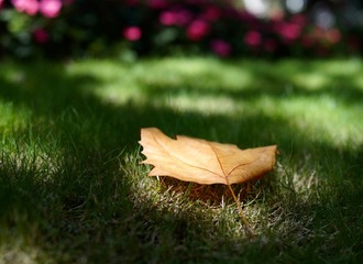 0A7879AB-7E0D-4652-9A9B-832F6F853427/L0/001