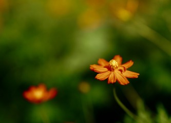 3FA4610F-01DB-466D-AC20-E1CE3550459F/L0/001