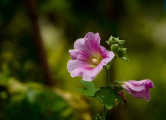 C23B247D-5EE8-4162-9411-434507BC35EF/L0/001