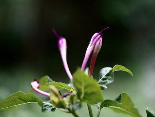 09DC9594-59BA-4909-905D-17A5880F75F2/L0/001