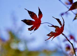 2DD02579-DB42-4CE8-80EE-9CC0F55F4775/L0/001