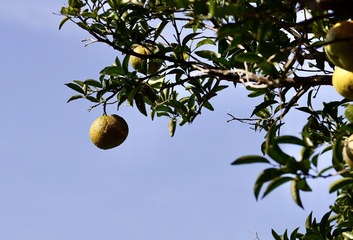 3E63847C-9AF7-4E1D-83F9-97665FC33942/L0/001
