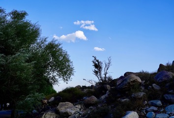6C7BF5D6-15B0-4E02-ACAF-297D5A0D0587/L0/001