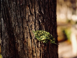 1D11E3D5-FB93-4CCD-A5D5-2071ACE6B8A4/L0/001