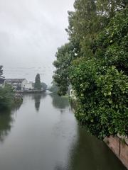 1000068542