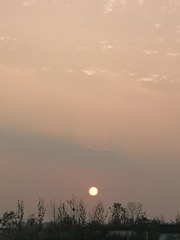 1390690