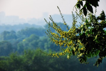 IMG_7564-300