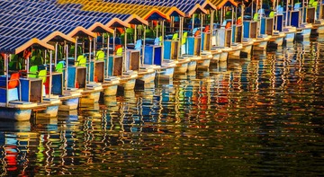 IMG_2645-1