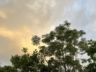D3C6EE5C-65C3-4564-AC65-AD7C3A5E302E/L0/001
