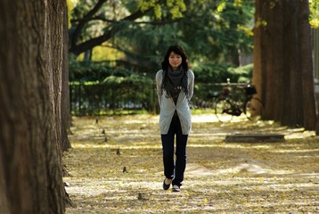 漫步银杏大道